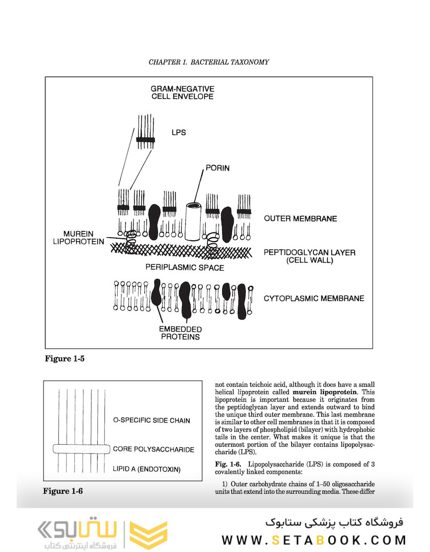 Clinical Microbiology Made Ridiculously Simple 8th Edicion