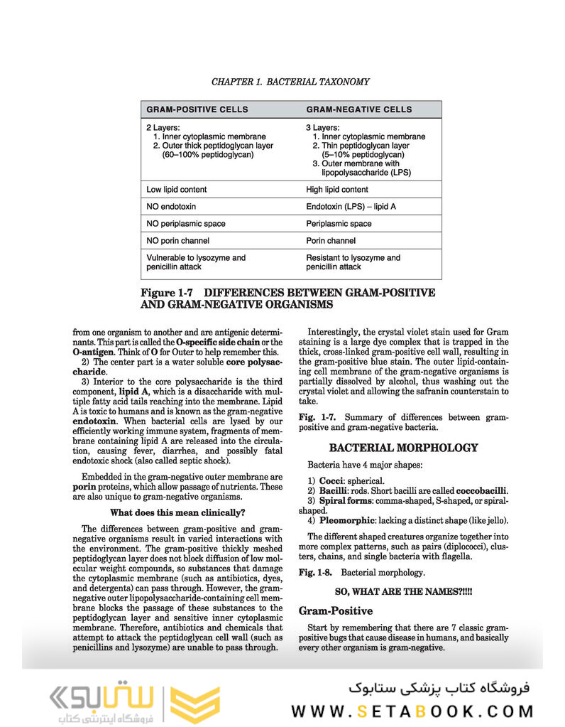 Clinical Microbiology Made Ridiculously Simple 8th Edicion