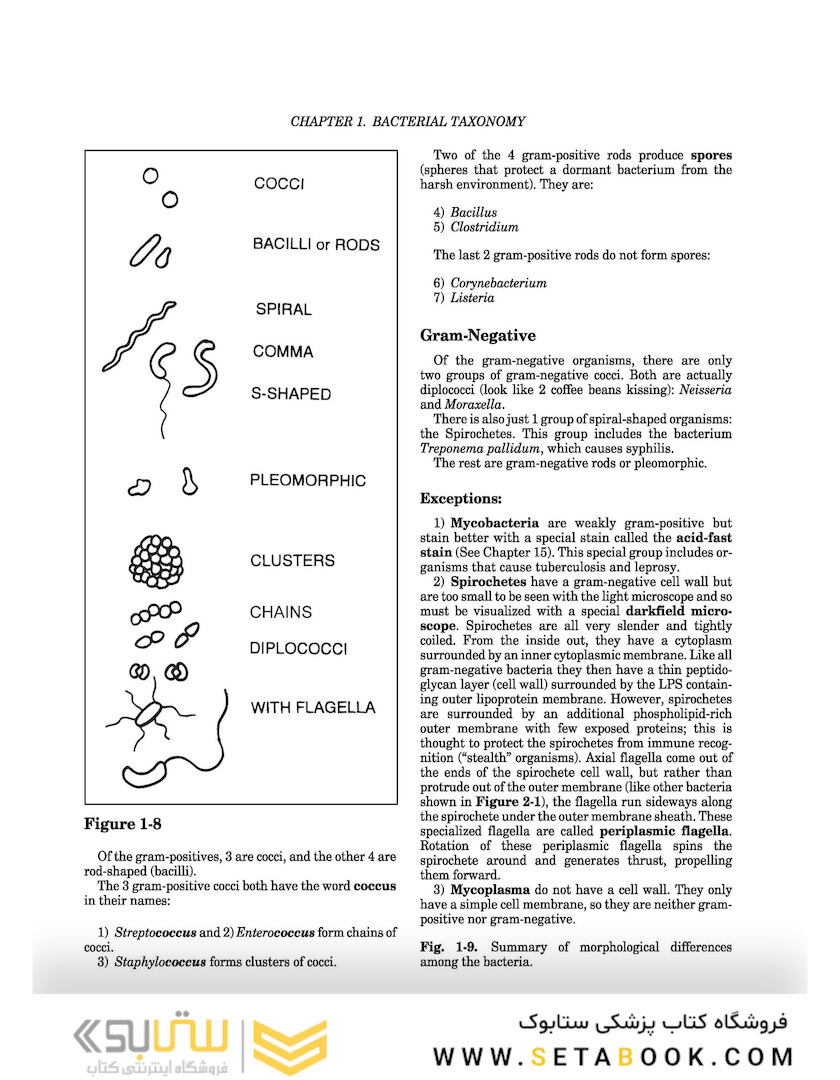 Clinical Microbiology Made Ridiculously Simple 8th Edicion