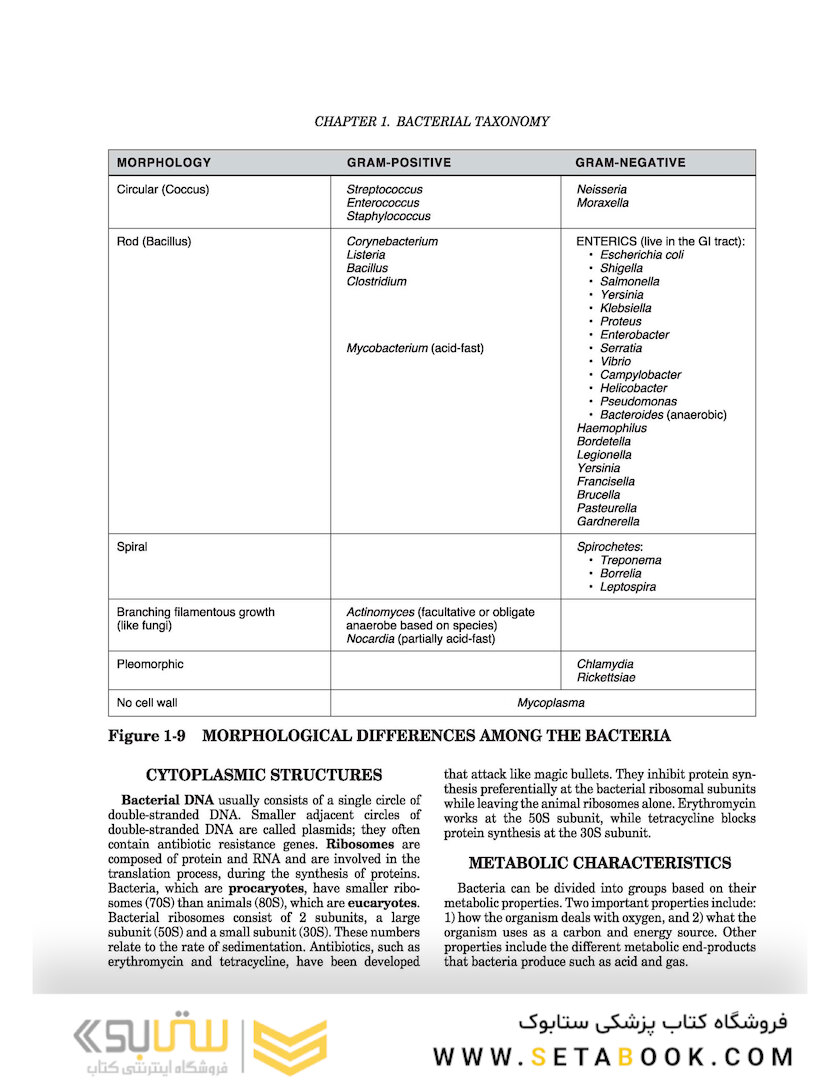 Clinical Microbiology Made Ridiculously Simple 8th Edicion