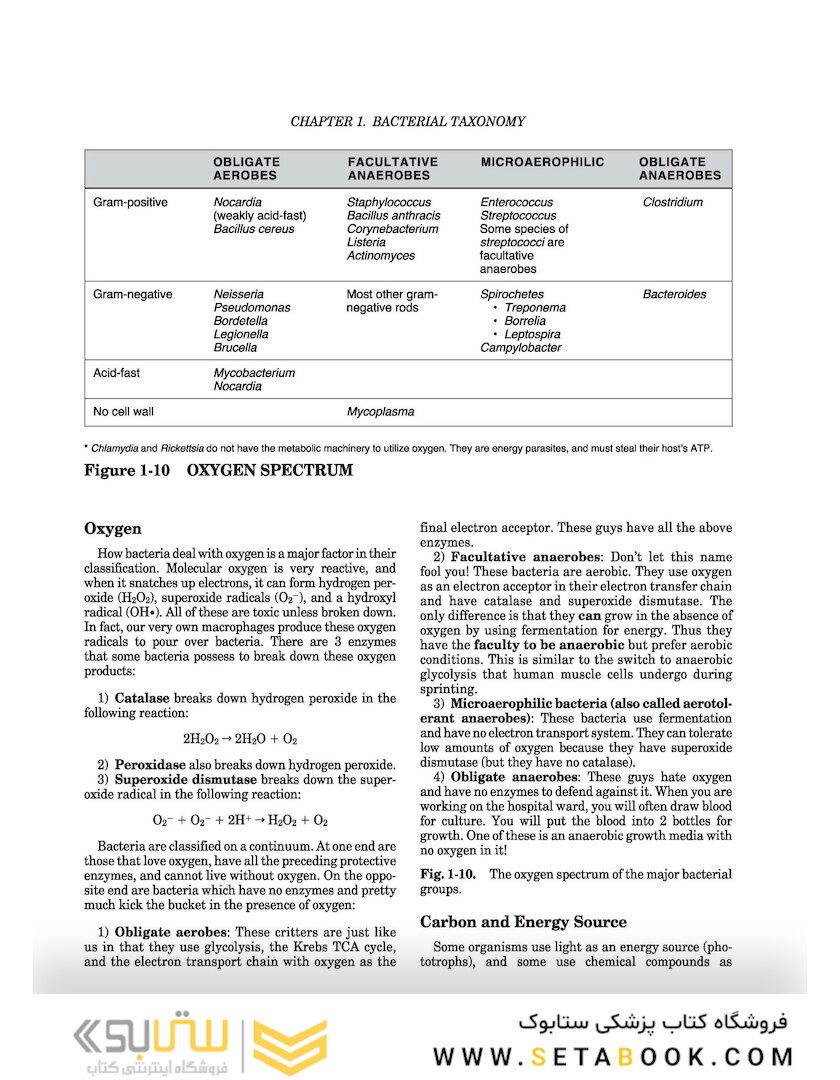 Clinical Microbiology Made Ridiculously Simple 8th Edicion
