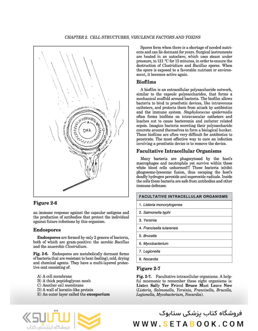 Clinical Microbiology Made Ridiculously Simple 8th Edicion