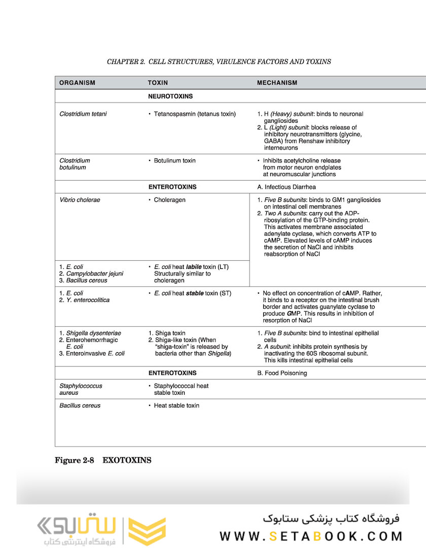 Clinical Microbiology Made Ridiculously Simple 8th Edicion
