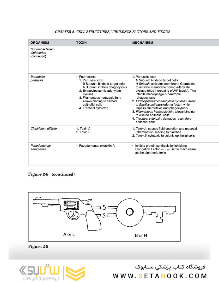 Clinical Microbiology Made Ridiculously Simple 8th Edicion