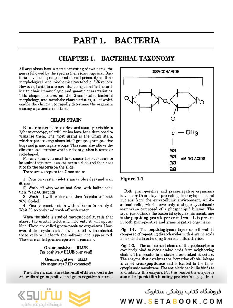 Clinical Microbiology Made Ridiculously Simple 6th Edition