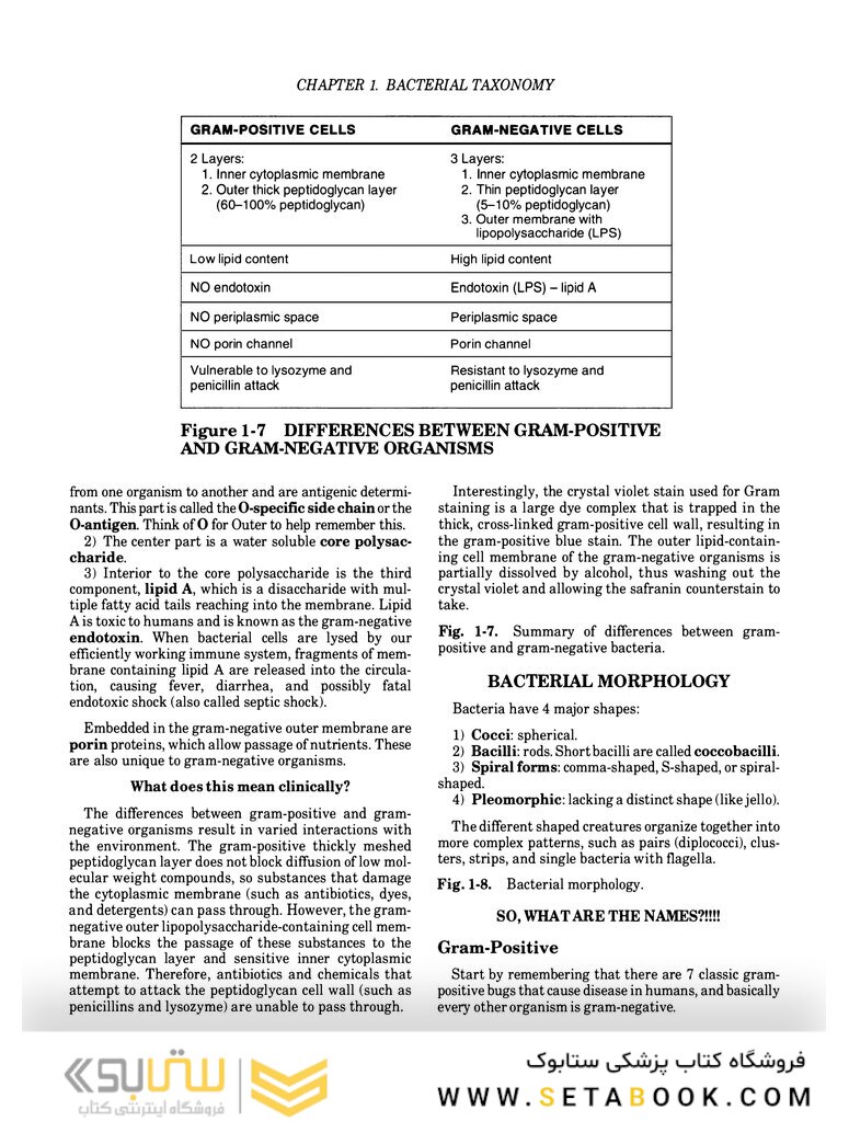 Clinical Microbiology Made Ridiculously Simple 6th Edition