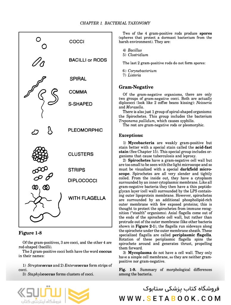 Clinical Microbiology Made Ridiculously Simple 6th Edition