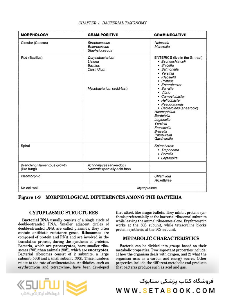 Clinical Microbiology Made Ridiculously Simple 6th Edition