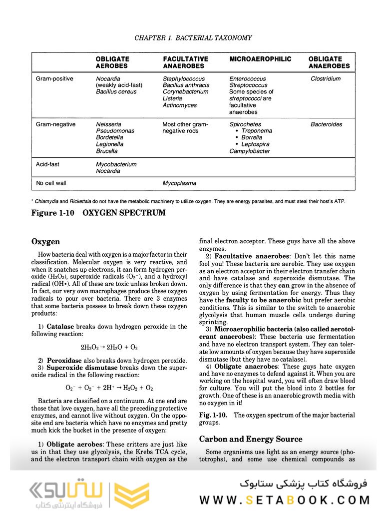 Clinical Microbiology Made Ridiculously Simple 6th Edition