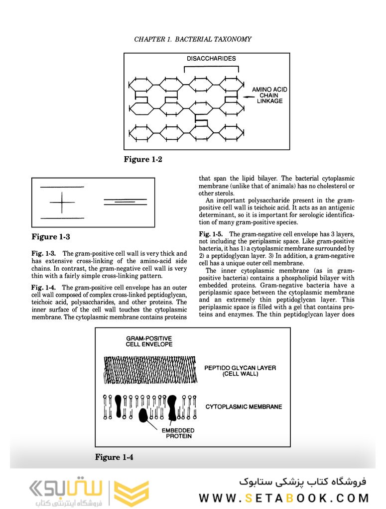 Clinical Microbiology Made Ridiculously Simple 6th Edition