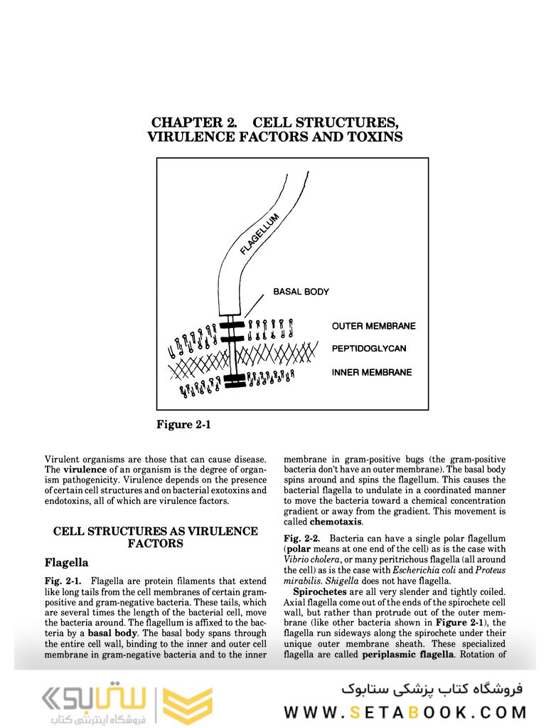 Clinical Microbiology Made Ridiculously Simple 6th Edition