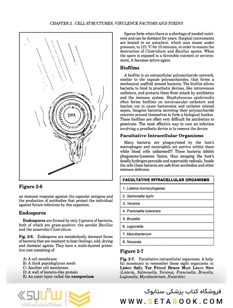 Clinical Microbiology Made Ridiculously Simple 6th Edition
