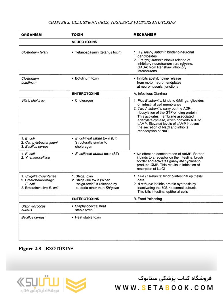 Clinical Microbiology Made Ridiculously Simple 6th Edition