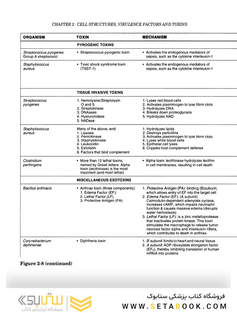 Clinical Microbiology Made Ridiculously Simple 6th Edition