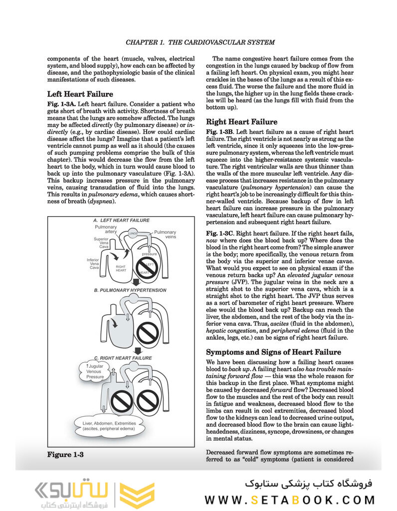 Clinical Pathophysiology Made Ridiculously Simple second Edición