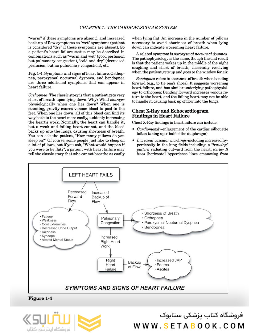Clinical Pathophysiology Made Ridiculously Simple second Edición