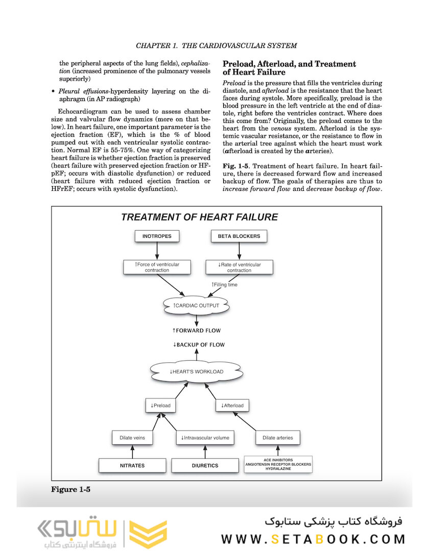 Clinical Pathophysiology Made Ridiculously Simple second Edición