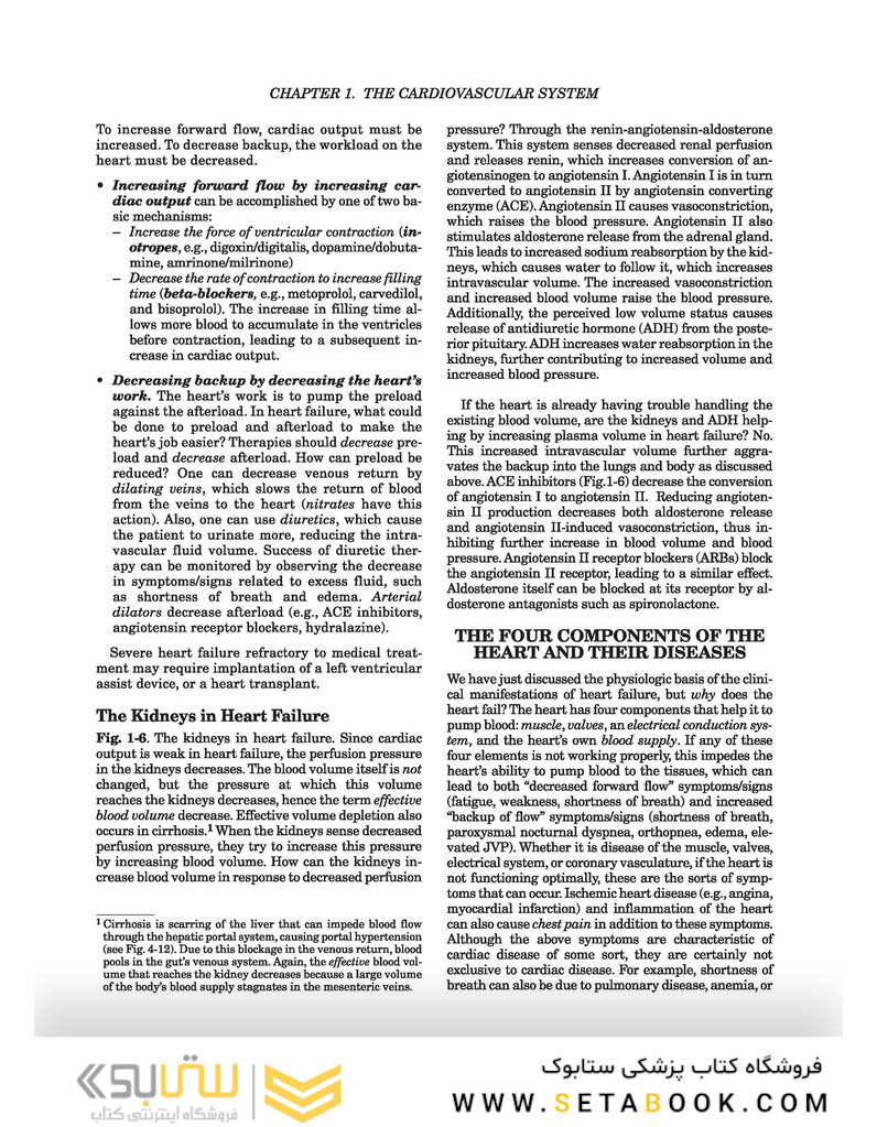 Clinical Pathophysiology Made Ridiculously Simple second Edición