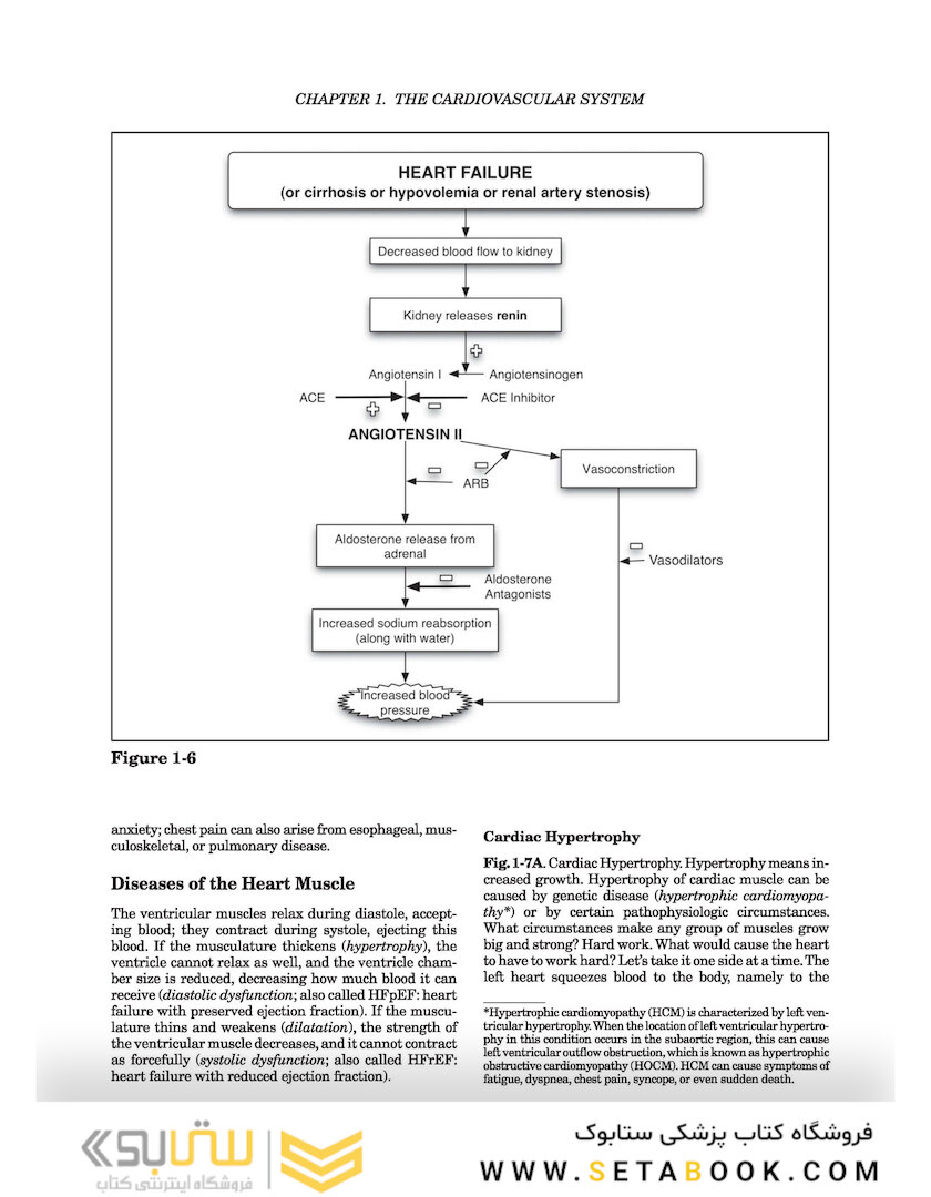 Clinical Pathophysiology Made Ridiculously Simple second Edición