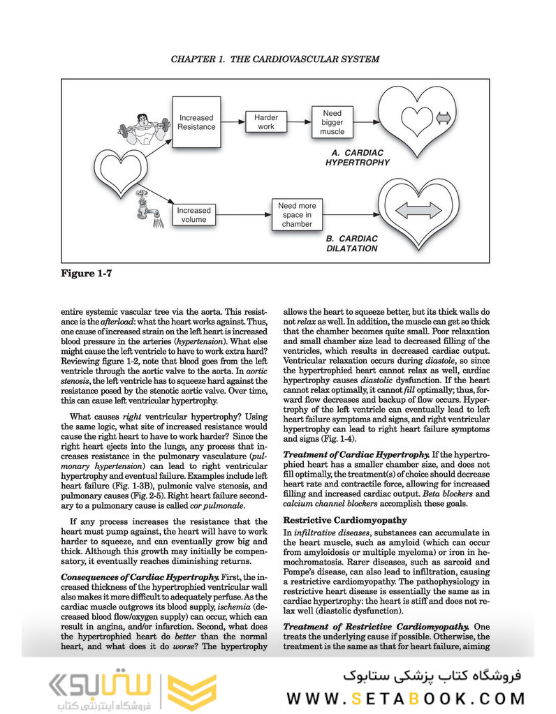 Clinical Pathophysiology Made Ridiculously Simple second Edición