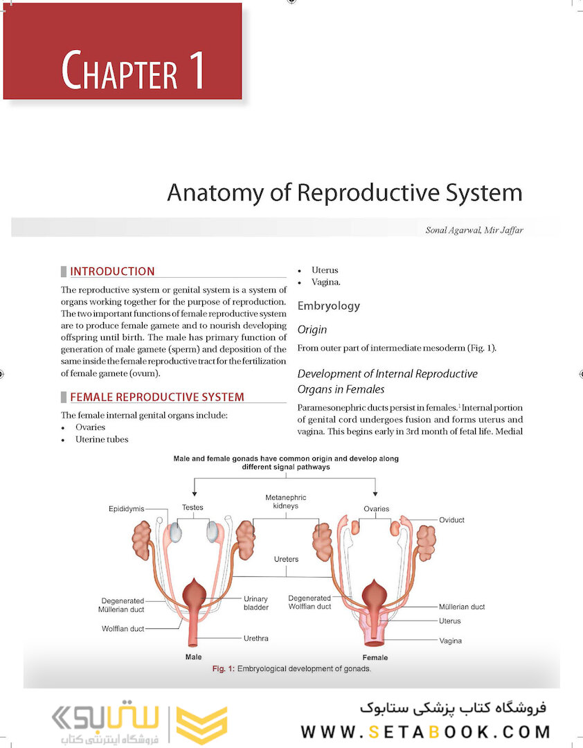 Principles and Practice of Assisted Reproductive Technology : Three Volume Set 2018