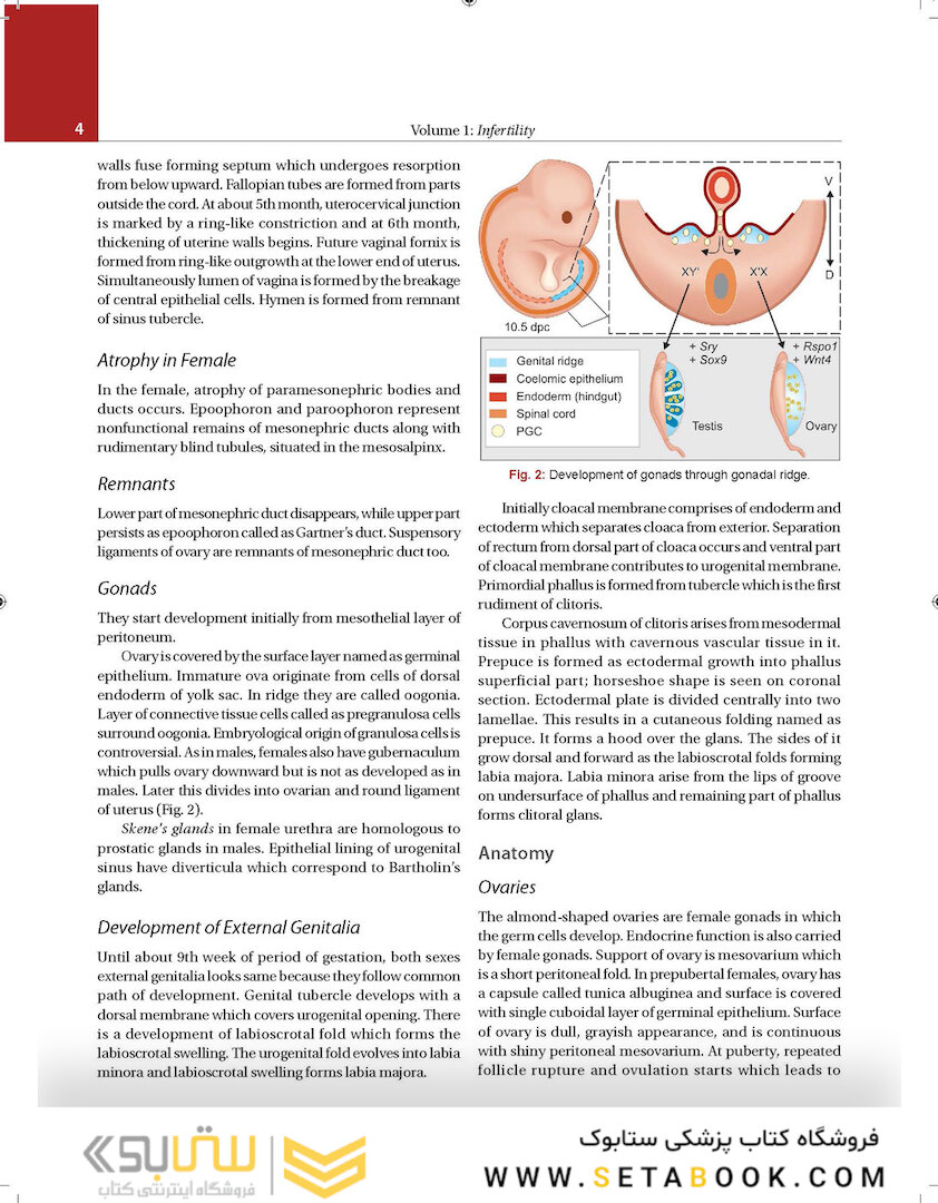 Principles and Practice of Assisted Reproductive Technology : Three Volume Set 2018