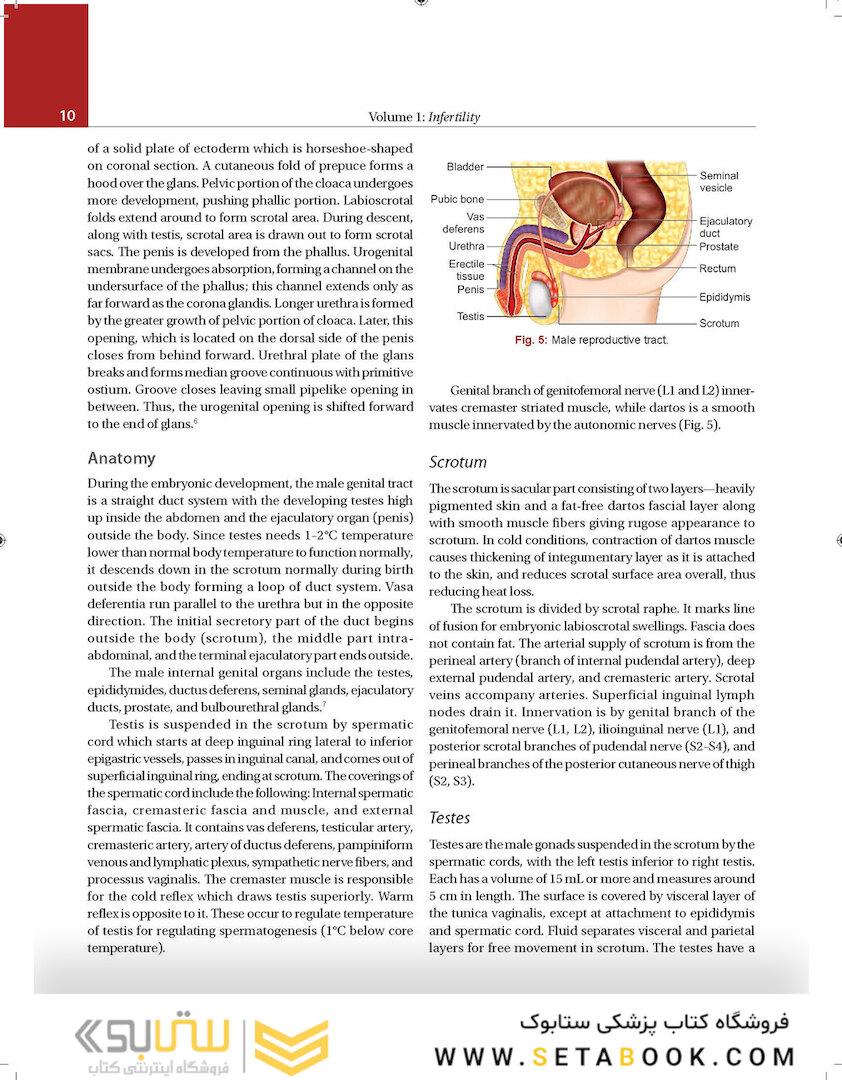 Principles and Practice of Assisted Reproductive Technology : Three Volume Set 2018