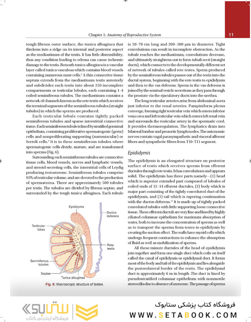 Principles and Practice of Assisted Reproductive Technology : Three Volume Set 2018