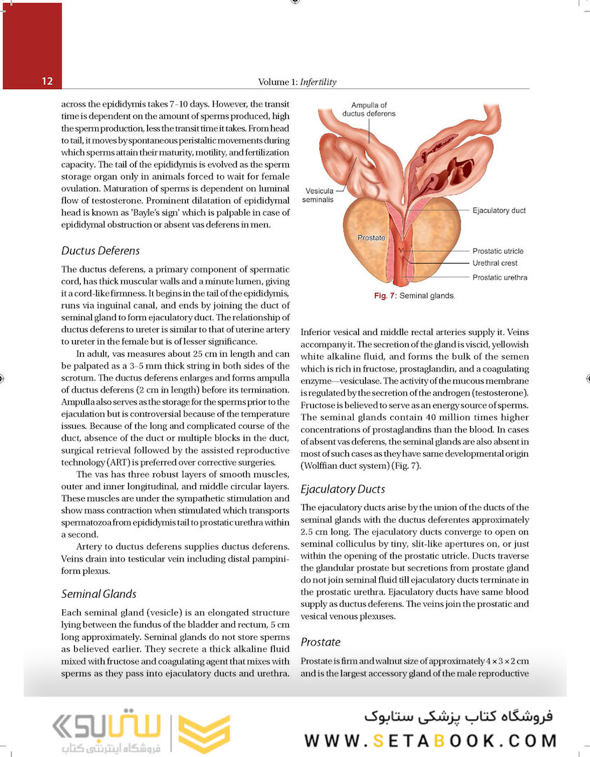 Principles and Practice of Assisted Reproductive Technology : Three Volume Set 2018