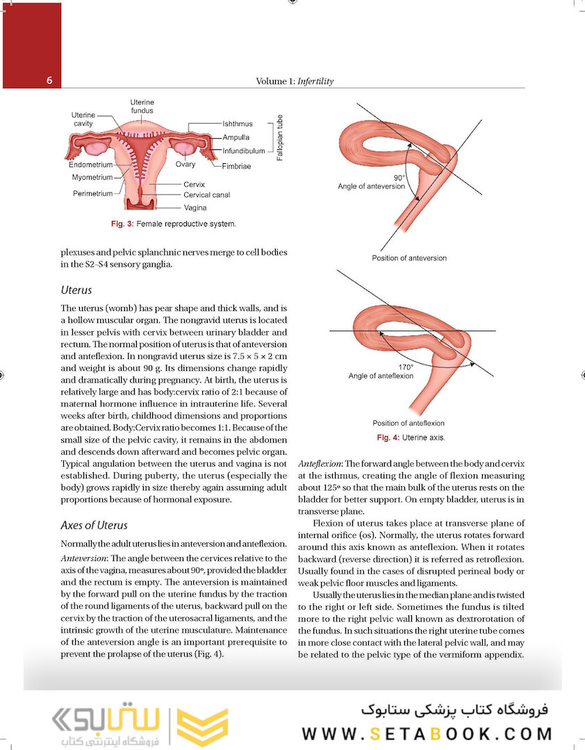 Principles and Practice of Assisted Reproductive Technology : Three Volume Set 2018