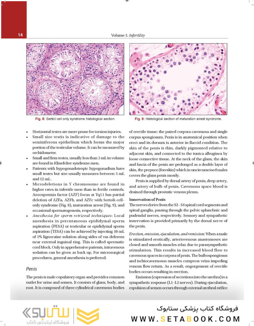 Principles and Practice of Assisted Reproductive Technology : Three Volume Set 2018