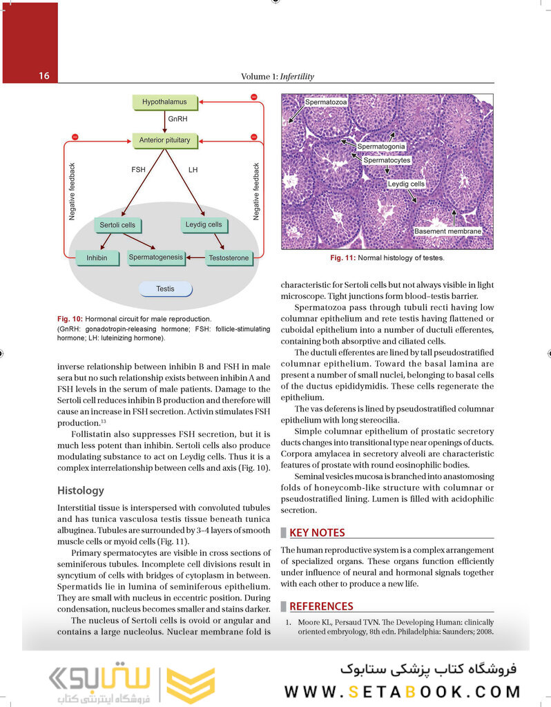 Principles and Practice of Assisted Reproductive Technology : Three Volume Set 2018