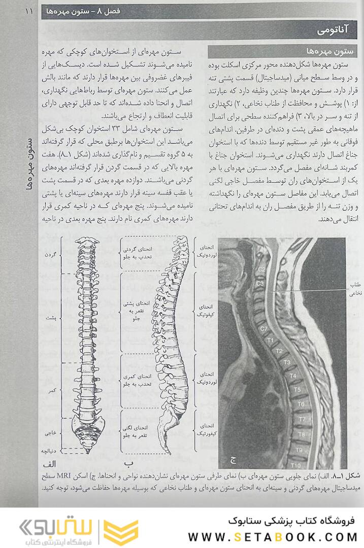روش های تصویر برداری مریل جلد 2