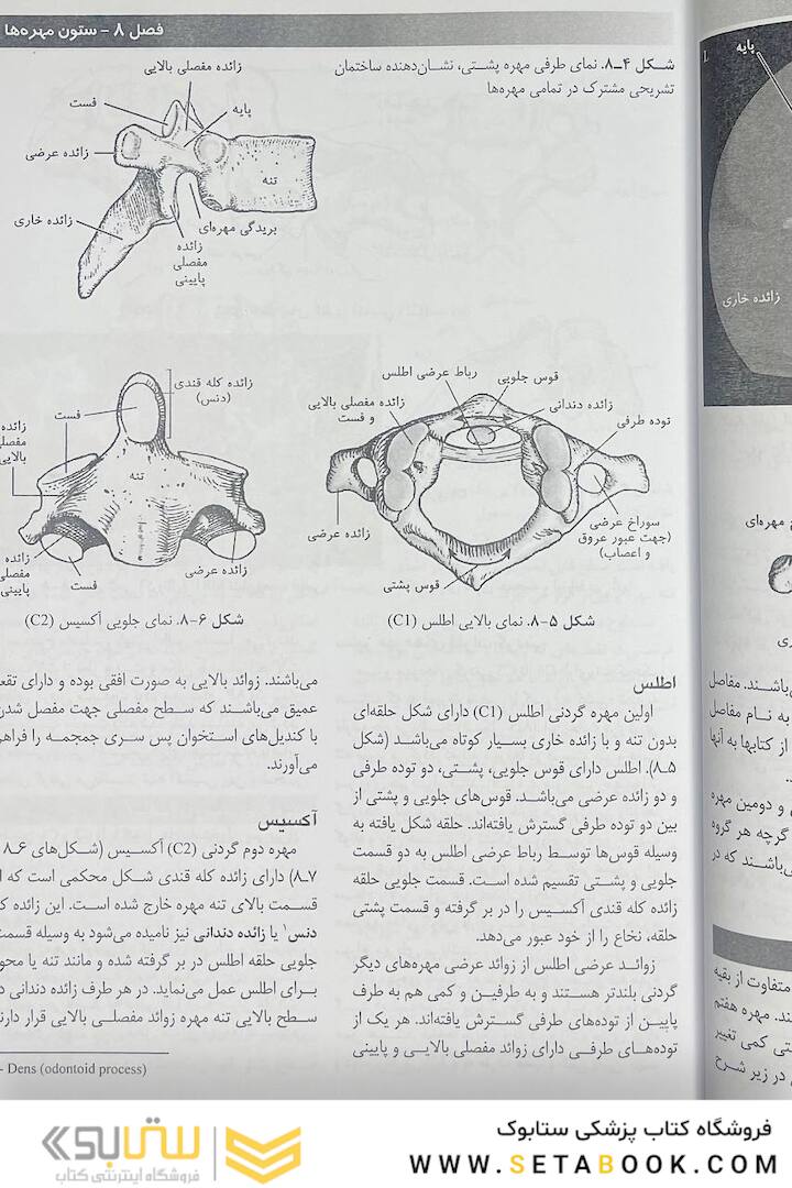 روش های تصویر برداری مریل جلد 2
