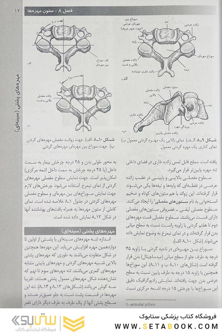 روش های تصویر برداری مریل جلد 2