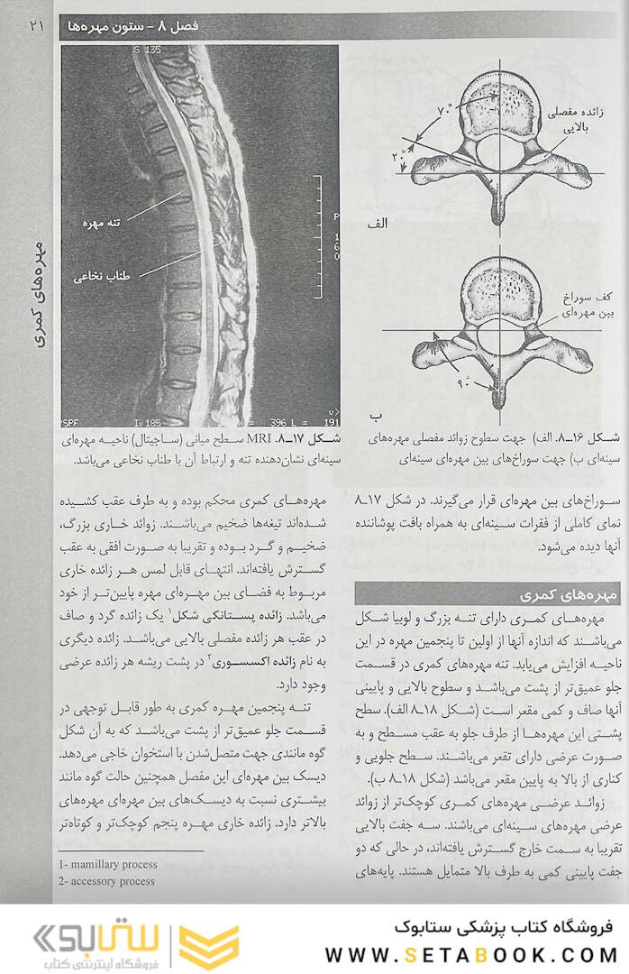 روش های تصویر برداری مریل جلد 2