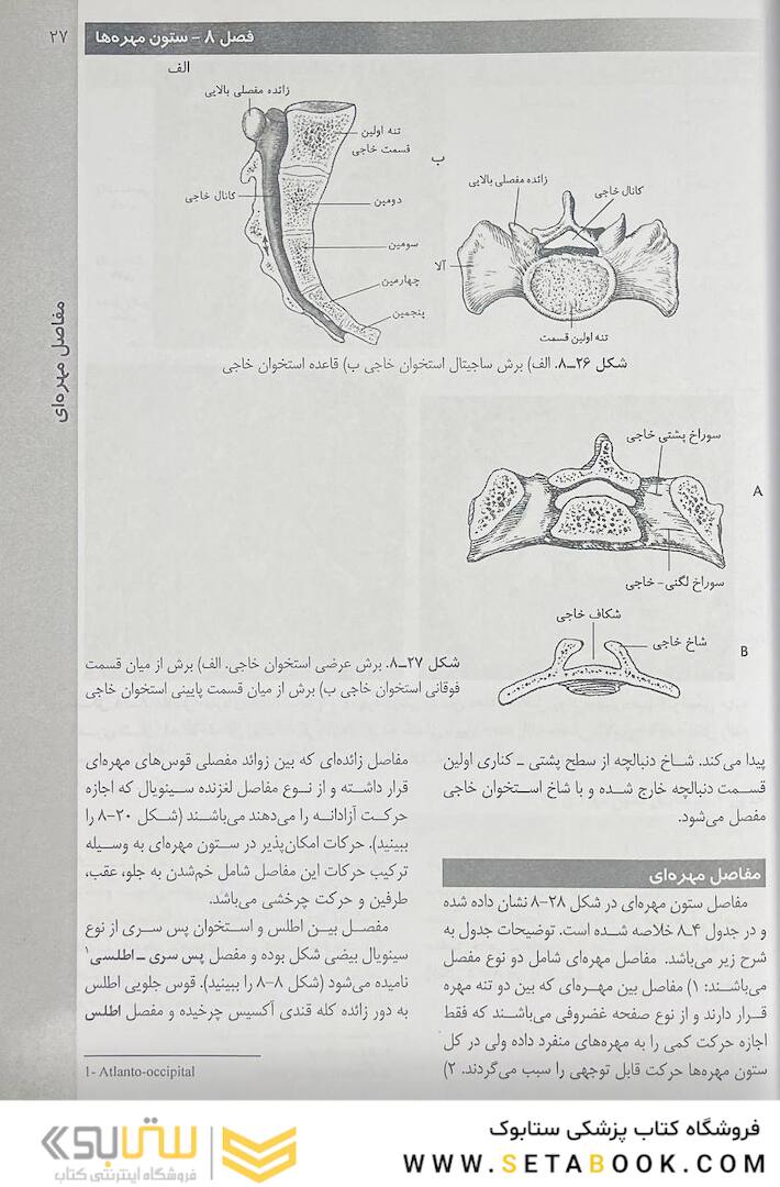روش های تصویر برداری مریل جلد 2