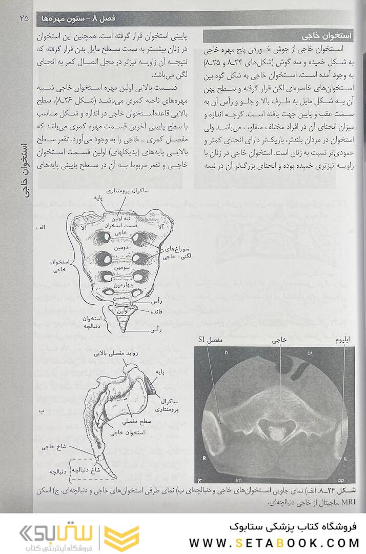 روش های تصویر برداری مریل جلد 2