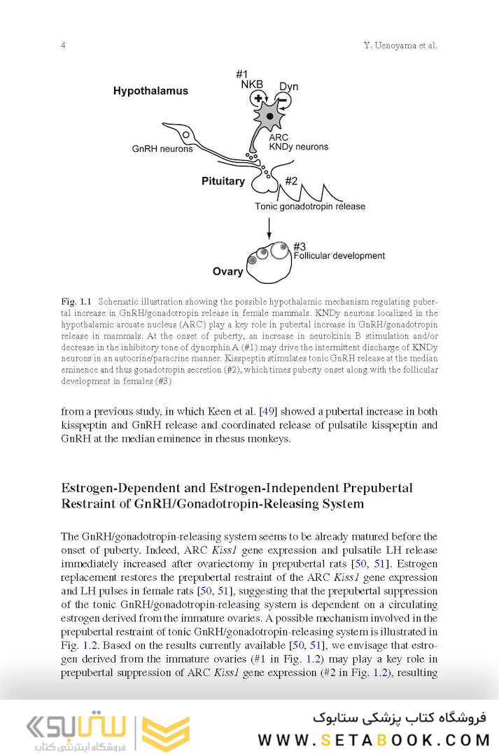 Puberty: Physiology and Abnormalities 1st ed. 2016 Edition