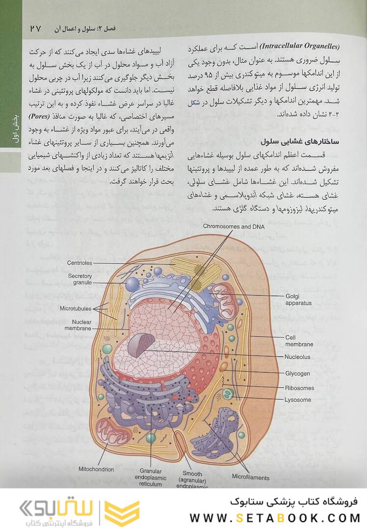 فیزیولوژی پزشکی گایتون هال 2021 جلد 1