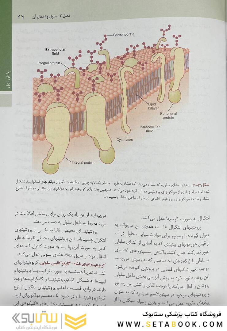 فیزیولوژی پزشکی گایتون هال 2021 جلد 1