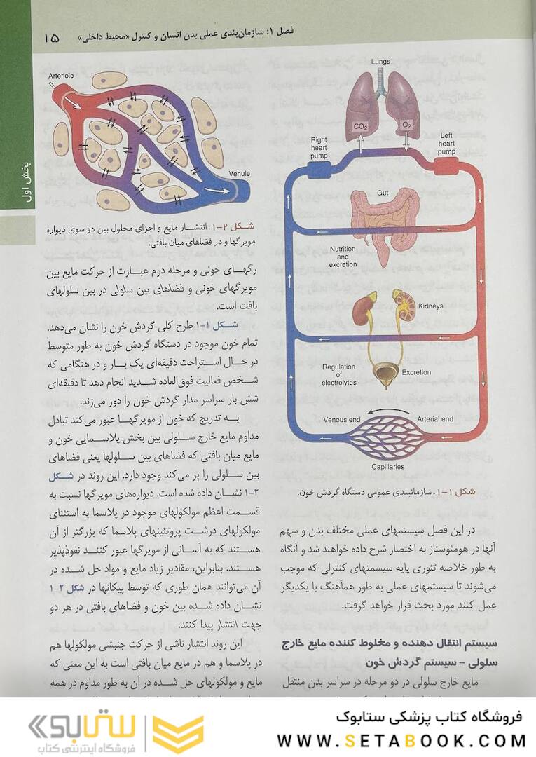 فیزیولوژی پزشکی گایتون هال 2021 جلد 1
