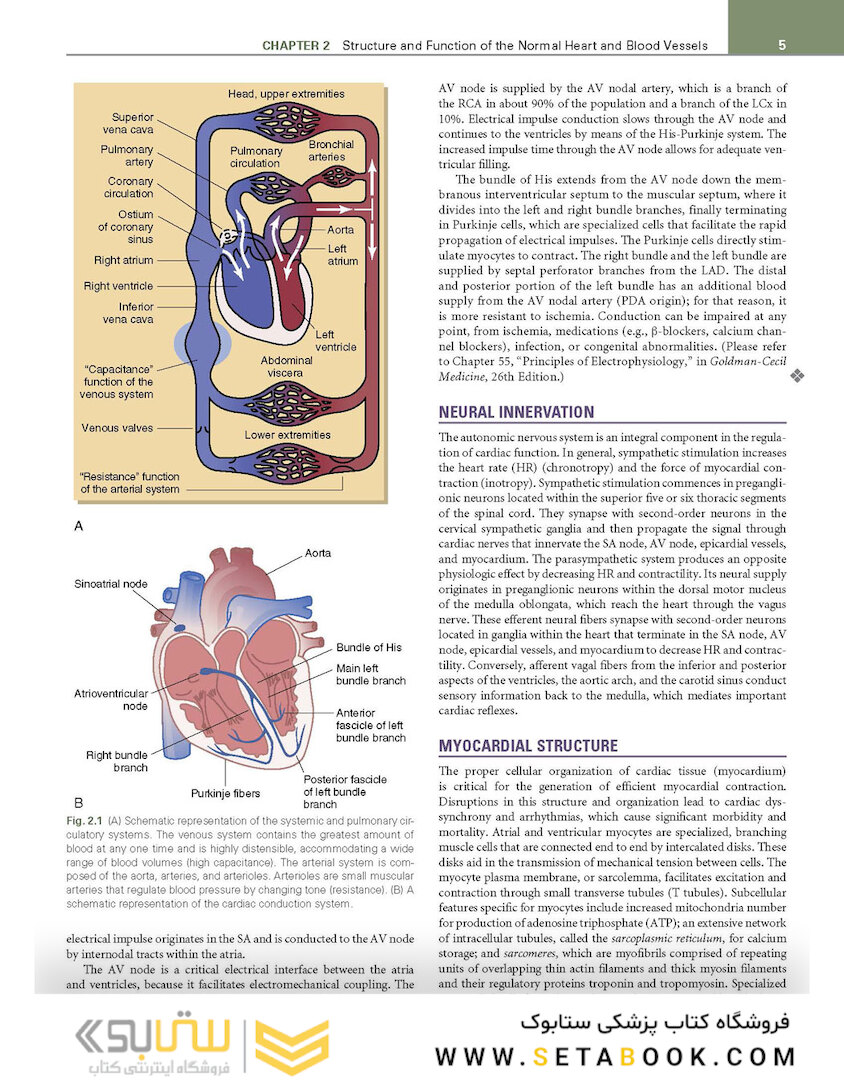 Cecil Essentials of Medicine