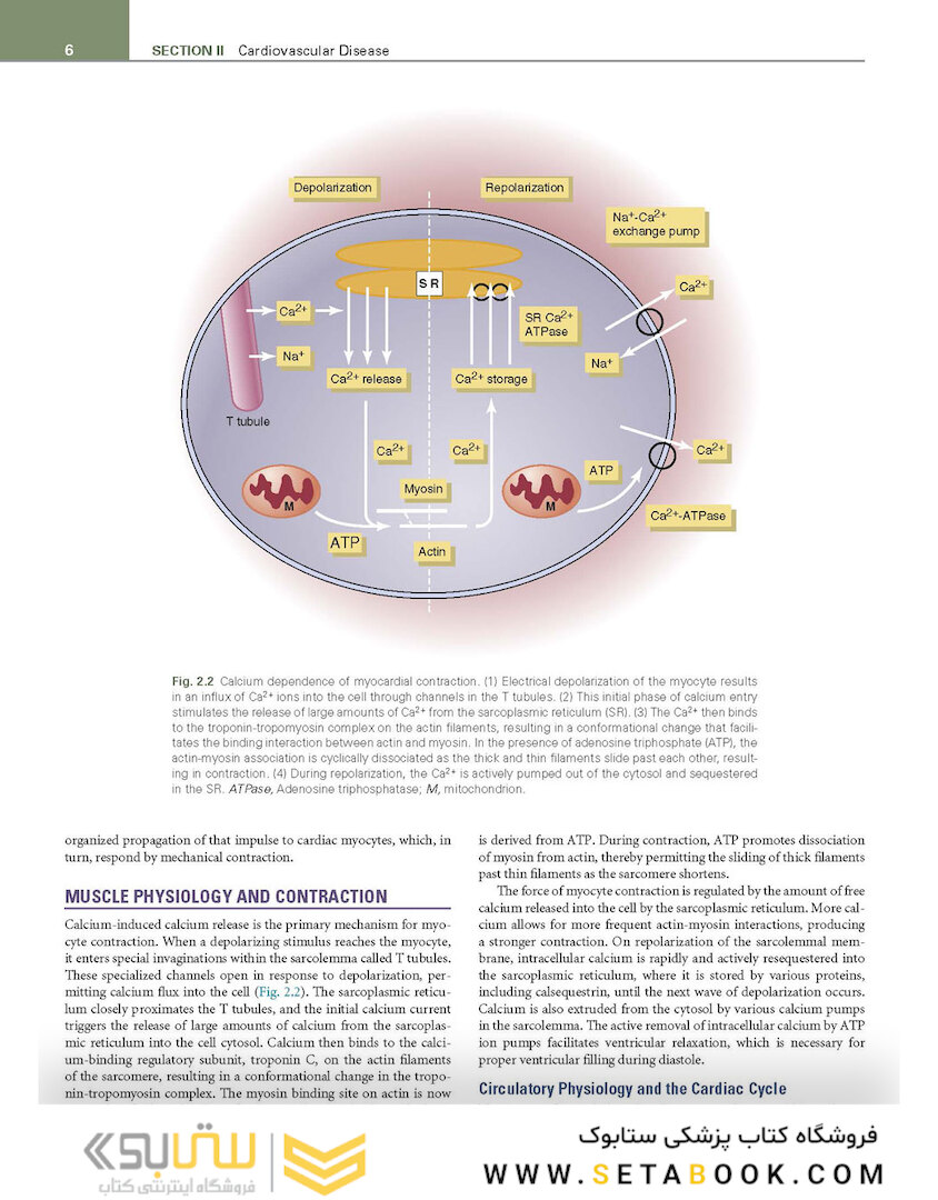 Cecil Essentials of Medicine