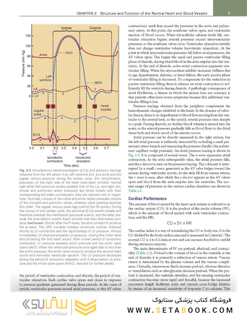 Cecil Essentials of Medicine