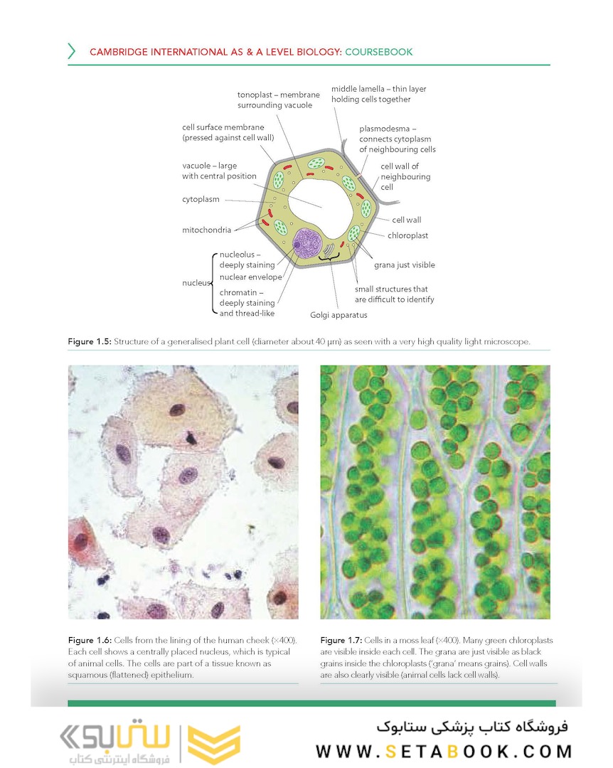 Cambridge International AS - A Level Biology Coursebook with Digital Access (2 Years) 5ed