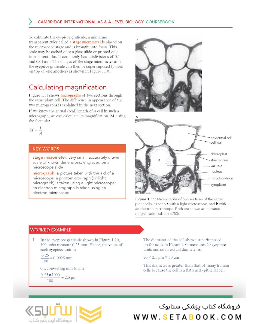 Cambridge International AS - A Level Biology Coursebook with Digital Access (2 Years) 5ed