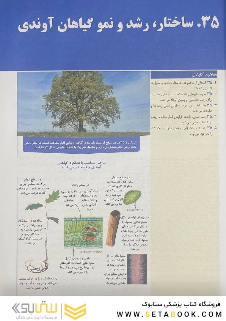 بیولوژی کمپبل 2021 ساختار و عمل گیاهان جلد 5