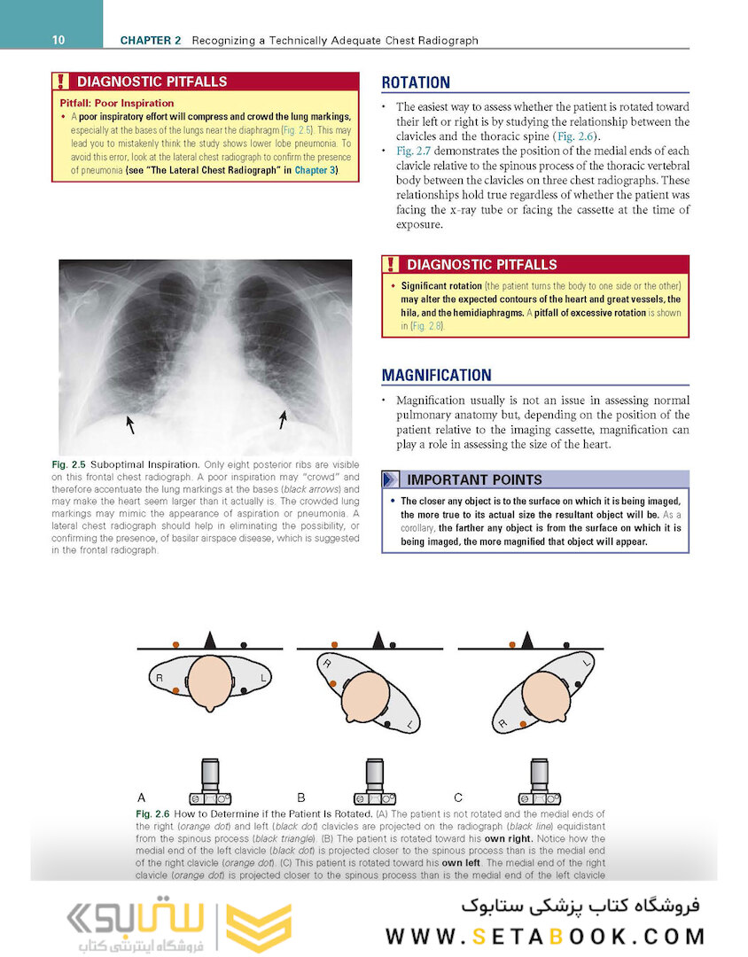 Learning Radiology: Recognizing the Basics 4th Edition
