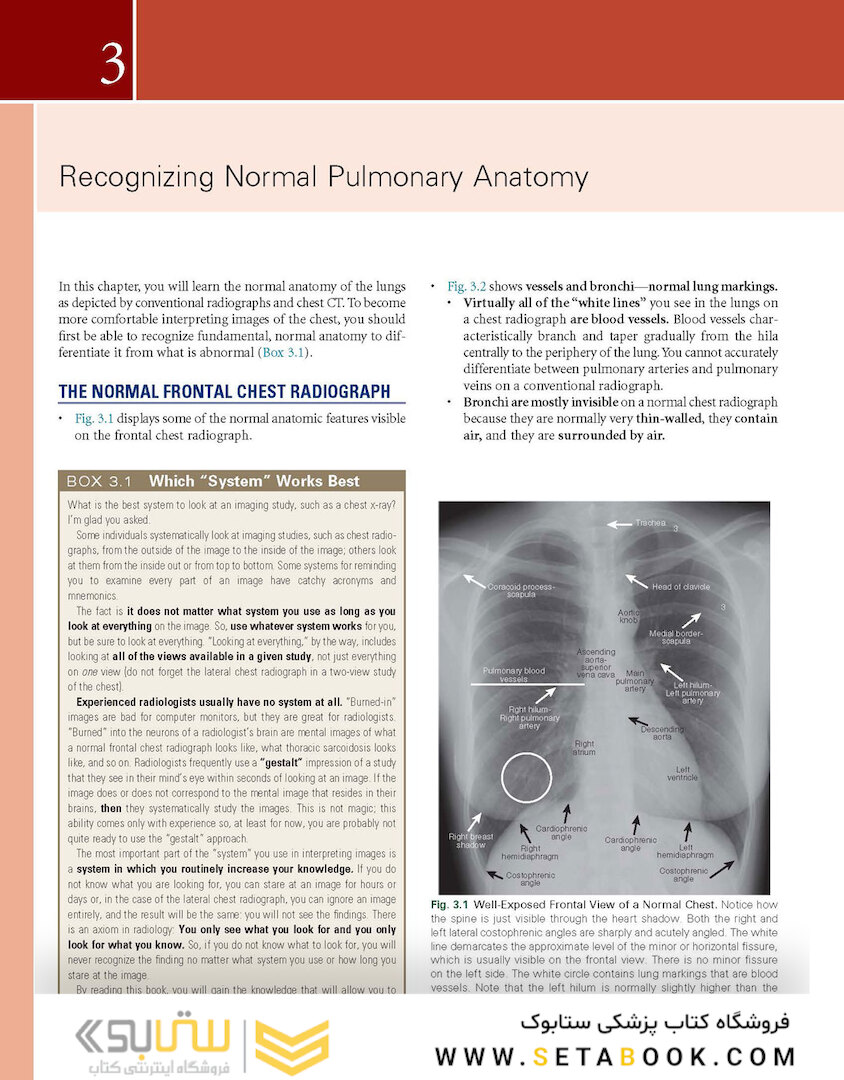 Learning Radiology: Recognizing the Basics 4th Edition